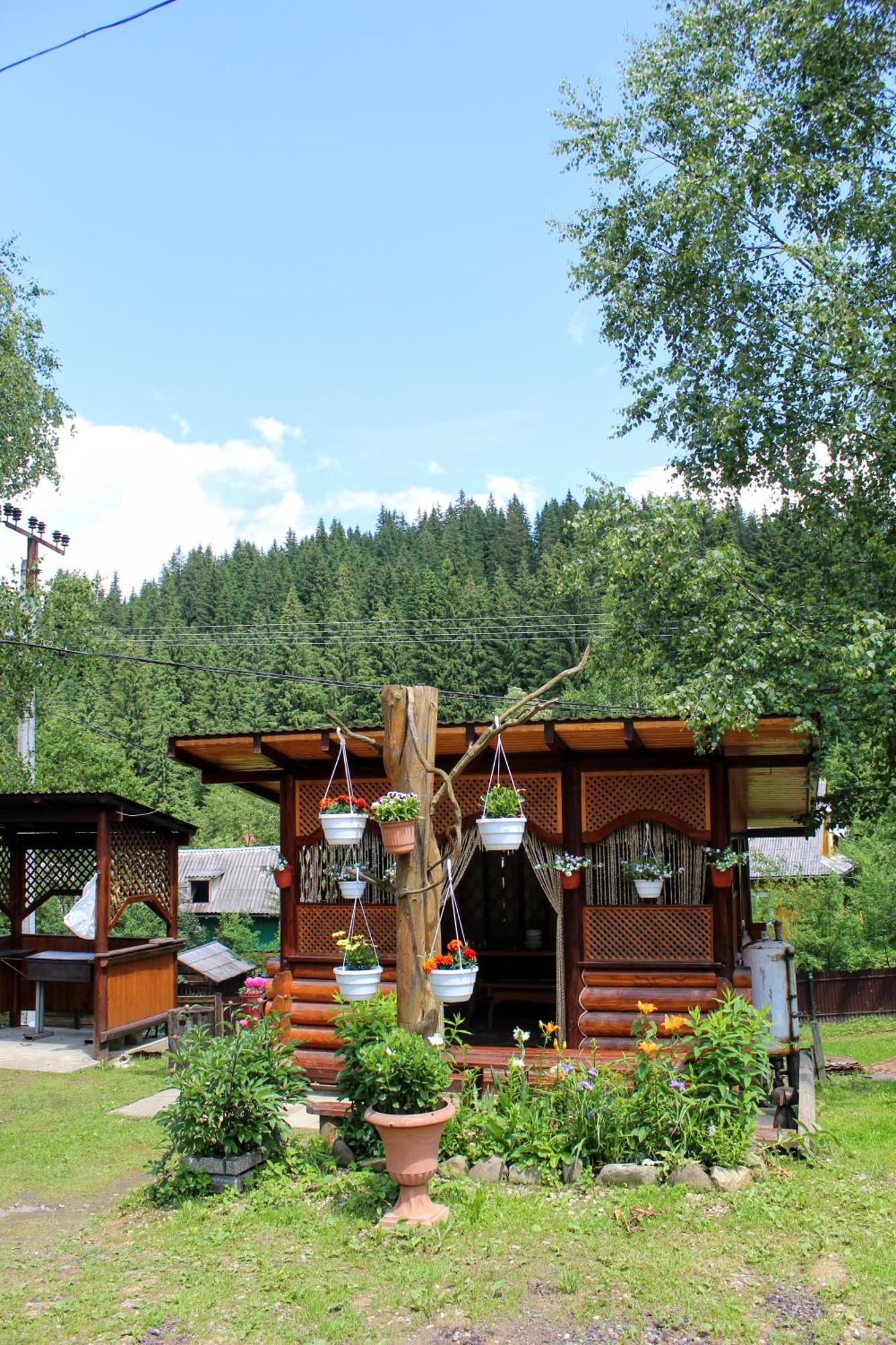 Садиба "У Валентини" Yablunytsya Exterior photo